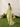 Embroidered Silk Suit - IUS-EWTPLED6-00062-3P