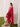 Embroidered Jacquard Suit - IUS-EWTKED6-86276-3P