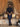Embroidered Blended Waistcoat Suit - IUS-ECMTWCS5-020