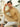 Men's Beige Kurta - EMTKC23-110